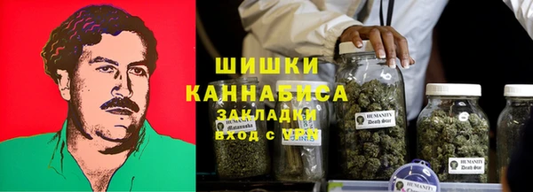 индика Гусев