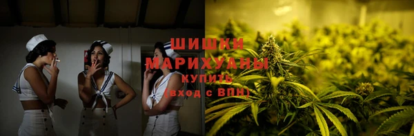 индика Гусев
