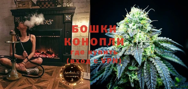 spice Дмитриев