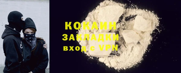 индика Гусев