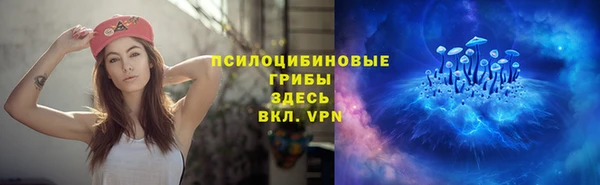 индика Гусев