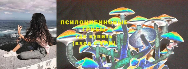 ГАЛЛЮЦИНОГЕННЫЕ ГРИБЫ Гусиноозёрск