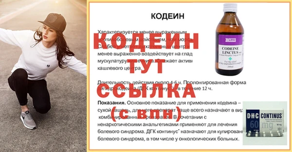 индика Гусев