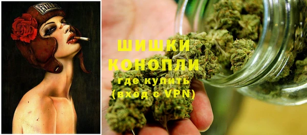 spice Дмитриев