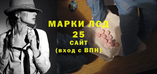 spice Дмитриев