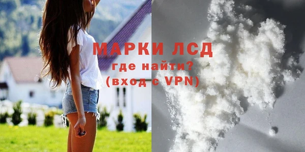 ГАЛЛЮЦИНОГЕННЫЕ ГРИБЫ Гусиноозёрск