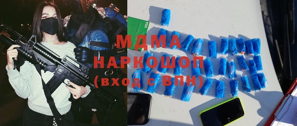 spice Дмитриев