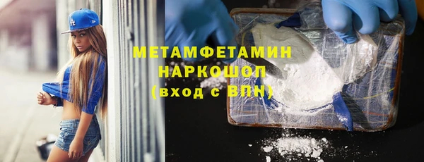 индика Гусев