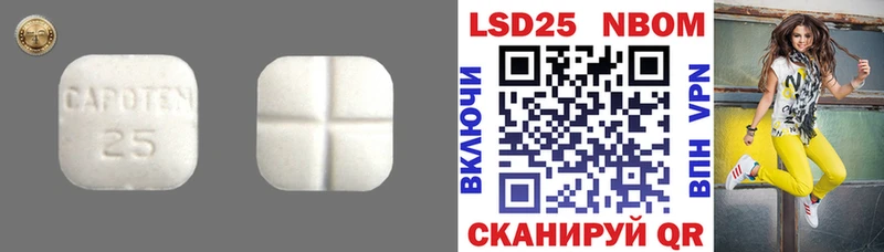 Купить закладки  Омутнинск  LSD-25 экстази ecstasy 