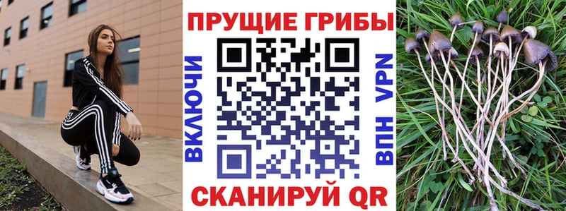 Псилоцибиновые грибы MAGIC MUSHROOMS  Купить где  Омутнинск 